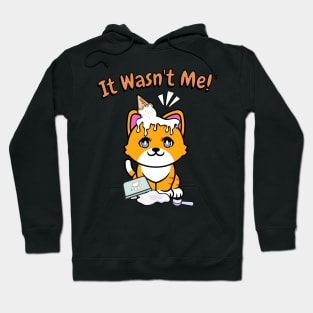 It wasnt me - orange cat Hoodie